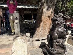 -晋祠公园