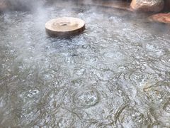 -西安国际创新人才交流中心•药浴温泉
