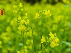 -长春公园(普阳街道)