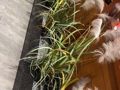 -鸽子窝(黄村店)