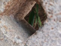 -福建省非物质文化遗产博览苑
