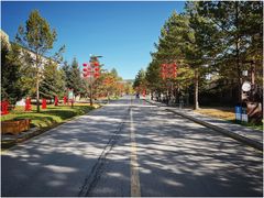 -北极村旅游风景区