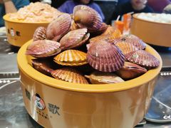-龍歌自助小火锅(李沧顺和汇店)
