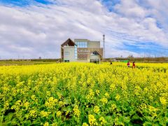 -桤木河湿地公园