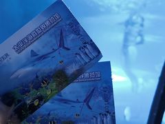 -太平洋海底世界