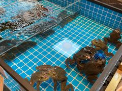 -黑金·寻焰自助百汇·烤肉·火锅(中街店)