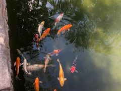 -春风习习