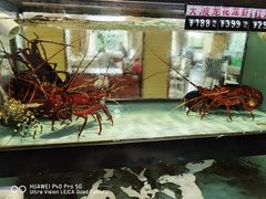 -越百海海鲜蒸锅(乐山店)