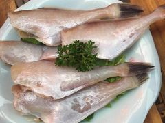 -巴渝菜园坝老火锅