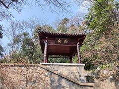-北极阁公园