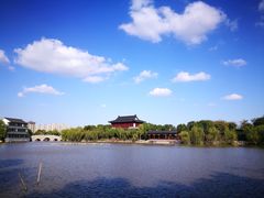 -南汇桃花村