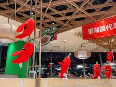 -望湘园·湖南菜(宏伊店)