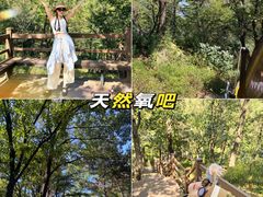 -沂蒙山旅游区云蒙景区(蒙山国家森林公园)