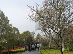 -苏州太湖国家湿地公园