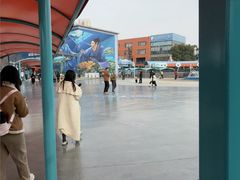 -海合安武汉极地海洋公园