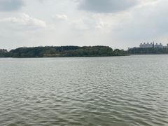 -海珠湖公园