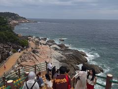 -广东惠东海龟国家级自然保护区
