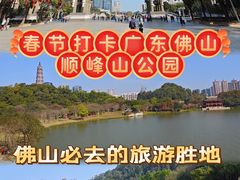 -顺峰山公园