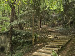 -上海佘山国家森林公园天马山园