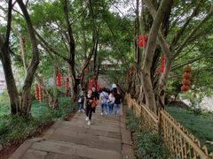 -丰都鬼城名山景区