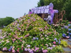 -上海滨江森林公园