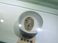 -仪征博物馆
