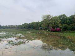 -艾溪湖湿地公园