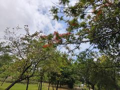 -中国移动南方基地