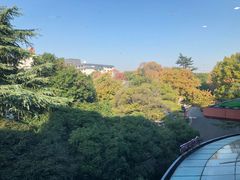 -福田家月子中心 产后 月嫂(市立母子医院店)