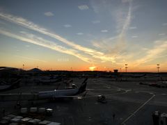 -谢列梅捷沃国际机场