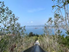 -千岛湖天屿景区