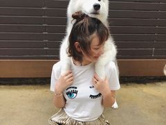 -TrueLove @ Neverland (Husky Cafe)