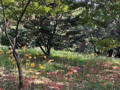 -杭州植物园