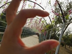 -宿豫区运河湾森林动物园