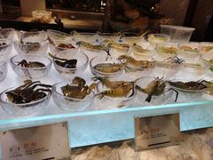 -半岛翡丽海鲜自助餐厅(观风亭店)