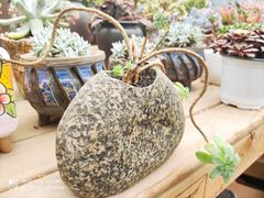 -三圣花乡旅游区