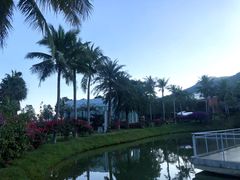 -玫瑰小镇