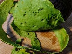 -油梨树AVOCADO TREE(望京店)