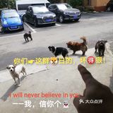 11月1日:彩票中奖68.8元，吃滴油水饺