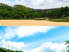 -中国科学院华南植物园