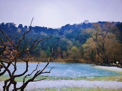 -香山公园