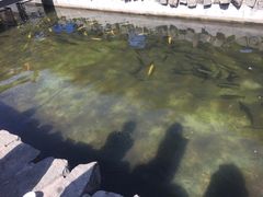 -京北渔家傲