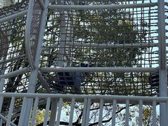 -宁波儿童公园(鄞州区)