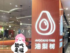 -油梨树 AVOCADO TREE(亮马桥店)