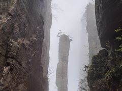 -恩施大峡谷