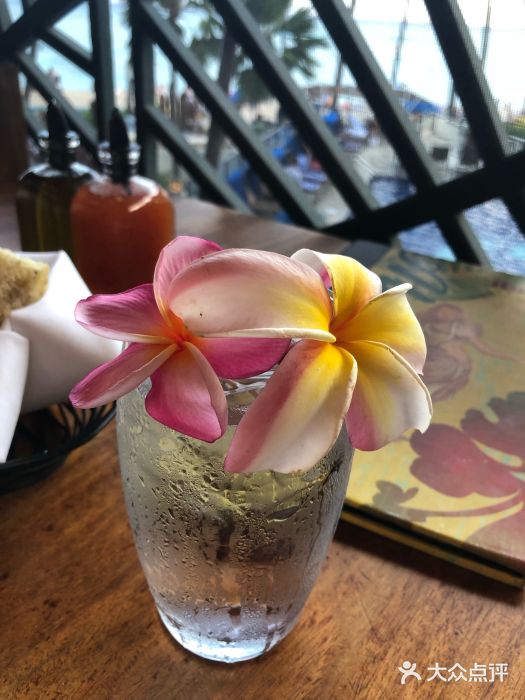 Hula Grill Waikiki图片