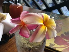 -Hula Grill Waikiki