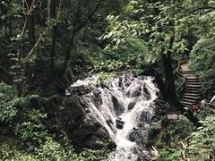 -莫里热带雨林景区
