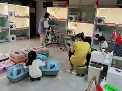 -lincat·猫舍(广州店)