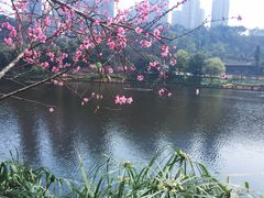 -重庆彩云湖湿地公园